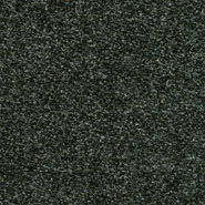 Flora 2_186  Kvadrat